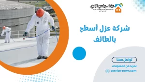 شركة عزل أسطح بالطائف