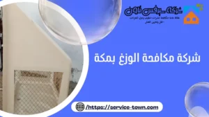 شركة مكافحة الوزغ بمكة