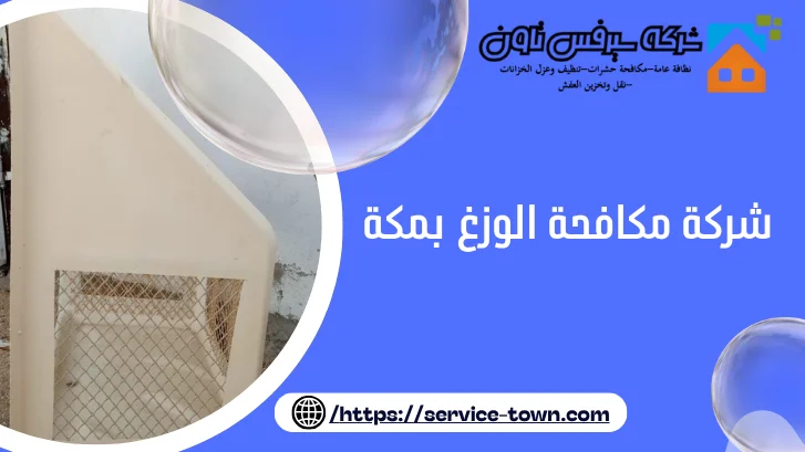 شركة مكافحة الوزغ بمكة